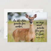 鹿の水性パンツとして聖書Psalm 42カスタム ポストカード (正面/裏面)