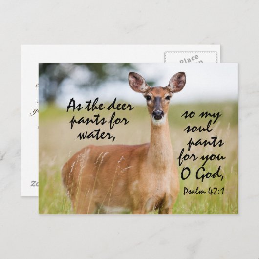 鹿の水性パンツとして聖書Psalm 42カスタム ポストカード (正面/裏面)