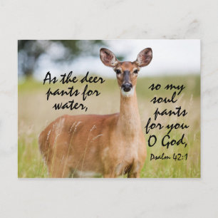 鹿の水性パンツとして聖書Psalm 42カスタム ポストカード