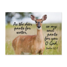 鹿の水性パンツとして聖書Psalm 42カスタム