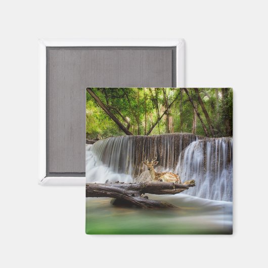 鹿の滝とエラワンリラックスの滝 マグネット (正面/裏面)