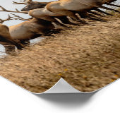 鹿の群れ ポスター (角)