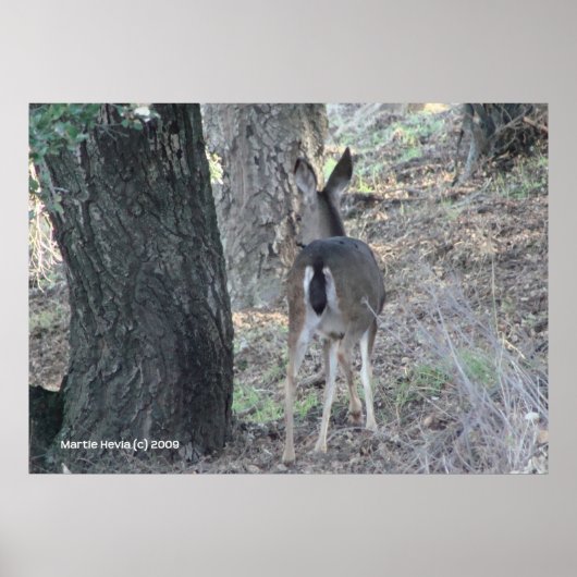 鹿の背中 ポスター (正面)