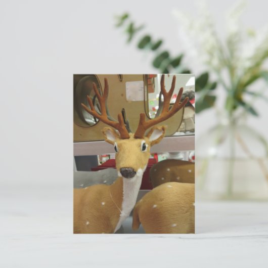 鹿の装飾 ポストカード (スタンド正面)