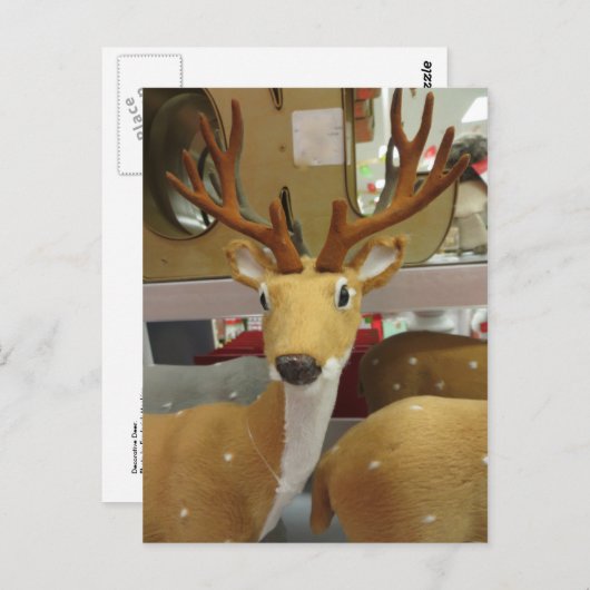 鹿の装飾 ポストカード (正面/裏面)