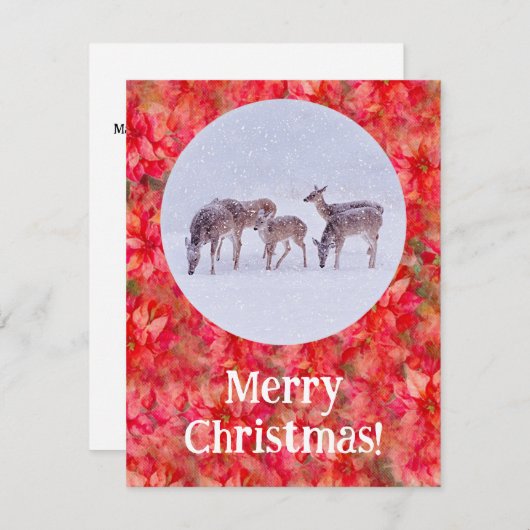 鹿の雪と赤ポインセチアのクリスマスフラットカード ノートカード (正面/裏面)