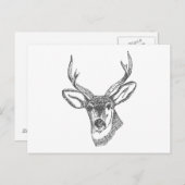 鹿の頭のスケッチ ポストカード (正面/裏面)