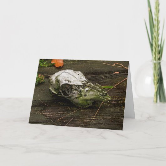 鹿の頭蓋骨のグリーティングカード カード (正面)