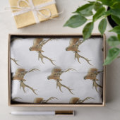 鹿の頭(中〔雄ジカの〕枝角付き#1) 薄葉紙 (ギフト)