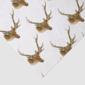 鹿の頭(中〔雄ジカの〕枝角付き#1) 薄葉紙 (詳細)