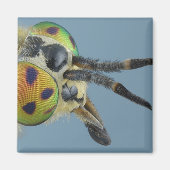 鹿の飛ぶ頭 マグネット (正面)