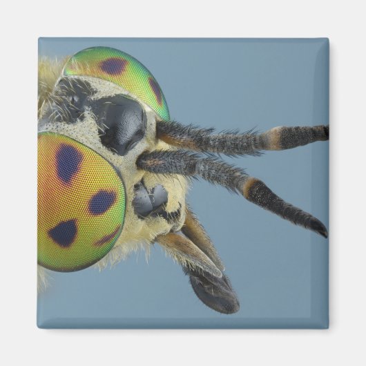 鹿の飛ぶ頭 マグネット (正面)