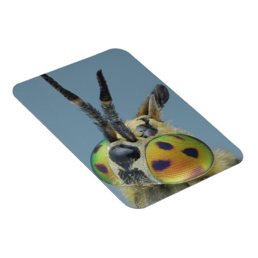 鹿の飛ぶ頭 マグネット (右側)