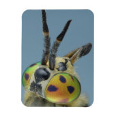 鹿の飛ぶ頭 マグネット (縦)