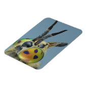 鹿の飛ぶ頭 マグネット (左側)