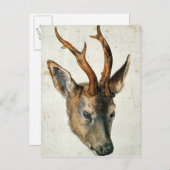 鹿の首 ポストカード (正面/裏面)