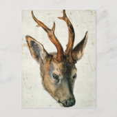 鹿の首 ポストカード (正面)