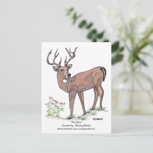 鹿はがき ポストカード (スタンド正面)