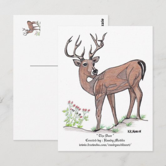鹿はがき ポストカード (正面/裏面)