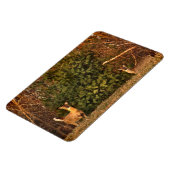 鹿アットサンライズ マグネット (左側)