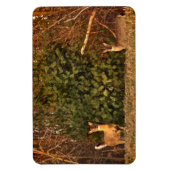 鹿アットサンライズ マグネット (縦)