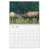 鹿カレンダー2023 カレンダー (3月 2026)