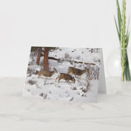 鹿カード シーズンカード