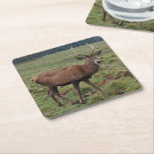 鹿コースター スクエアペーパーコースター (アングル)