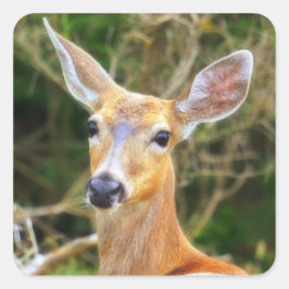 鹿シール/シール/ラベル スクエアシール