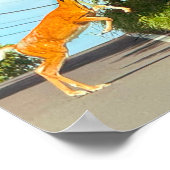 鹿ジャンプ写真ポスター ポスター (角)