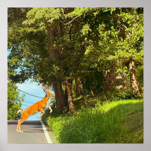 鹿ジャンプ写真ポスター ポスター (正面)