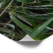 鹿スカルポスター ポスター (角)