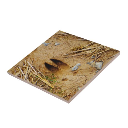 鹿トラック タイル (側面)