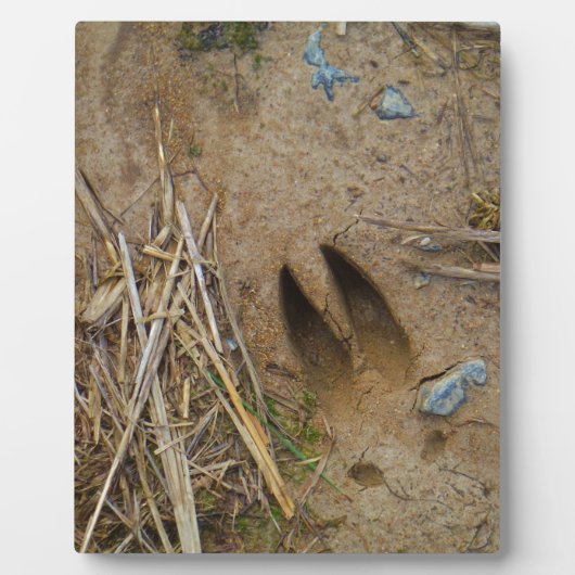 鹿トラック フォトプラーク (正面)