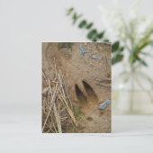 鹿トラック ポストカード (スタンド正面)