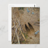 鹿トラック ポストカード (正面/裏面)