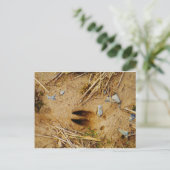 鹿トラック ポストカード (スタンド正面)