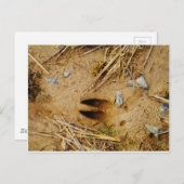 鹿トラック ポストカード (正面/裏面)