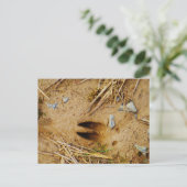 鹿トラック ポストカード (スタンド正面)