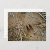 鹿トラック ポストカード (正面/裏面)