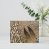 鹿トラック ポストカード (スタンド正面)