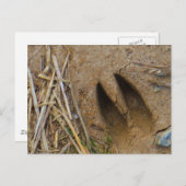 鹿トラック ポストカード (正面/裏面)