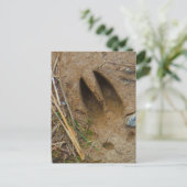 鹿トラック ポストカード (スタンド正面)