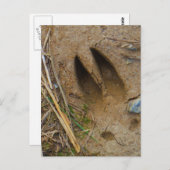 鹿トラック ポストカード (正面/裏面)