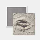 鹿トラック マグネット (正面/裏面)