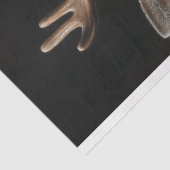 鹿ビクトリアンポートレート切り離し 薄葉紙 (詳細)