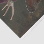 鹿ビクトリアンポートレート切り離し 薄葉紙 (詳細)