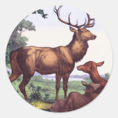 鹿ファミリーヴィンテージラウンドステッカー ラウンドシール (正面)