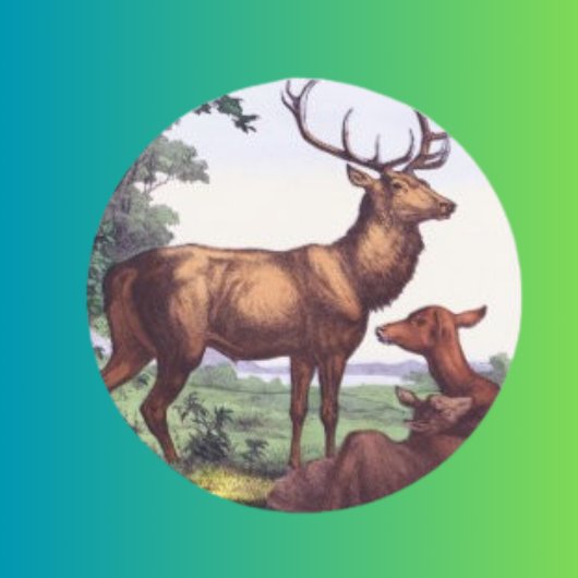 鹿ファミリーヴィンテージラウンドステッカー ラウンドシール