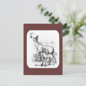 鹿ファミリー ポストカード (スタンド正面)